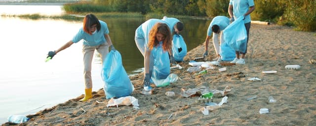 Community Clean-up Crew
